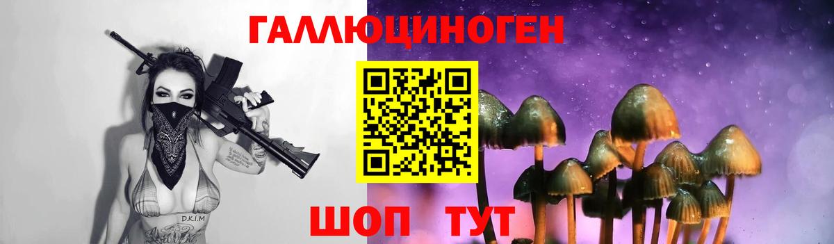 Галлюциногенные грибы GOLDEN TEACHER Аргун